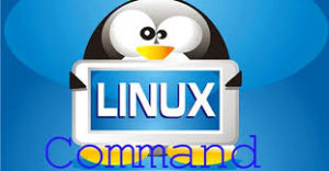 linux viet nam