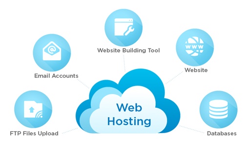 Host website là gì và tầm quan trọng tới website như thế nào? 2 host website