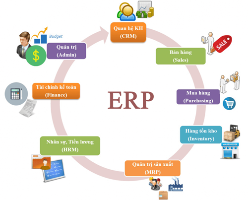 dự án erp là gì