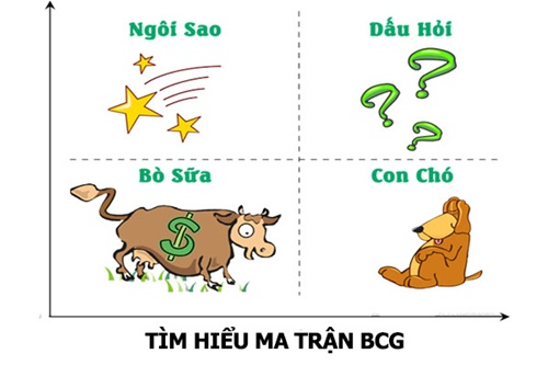 Thị phần là gì? Cách xác định thị phần tăng trưởng 3 thị phần là gì