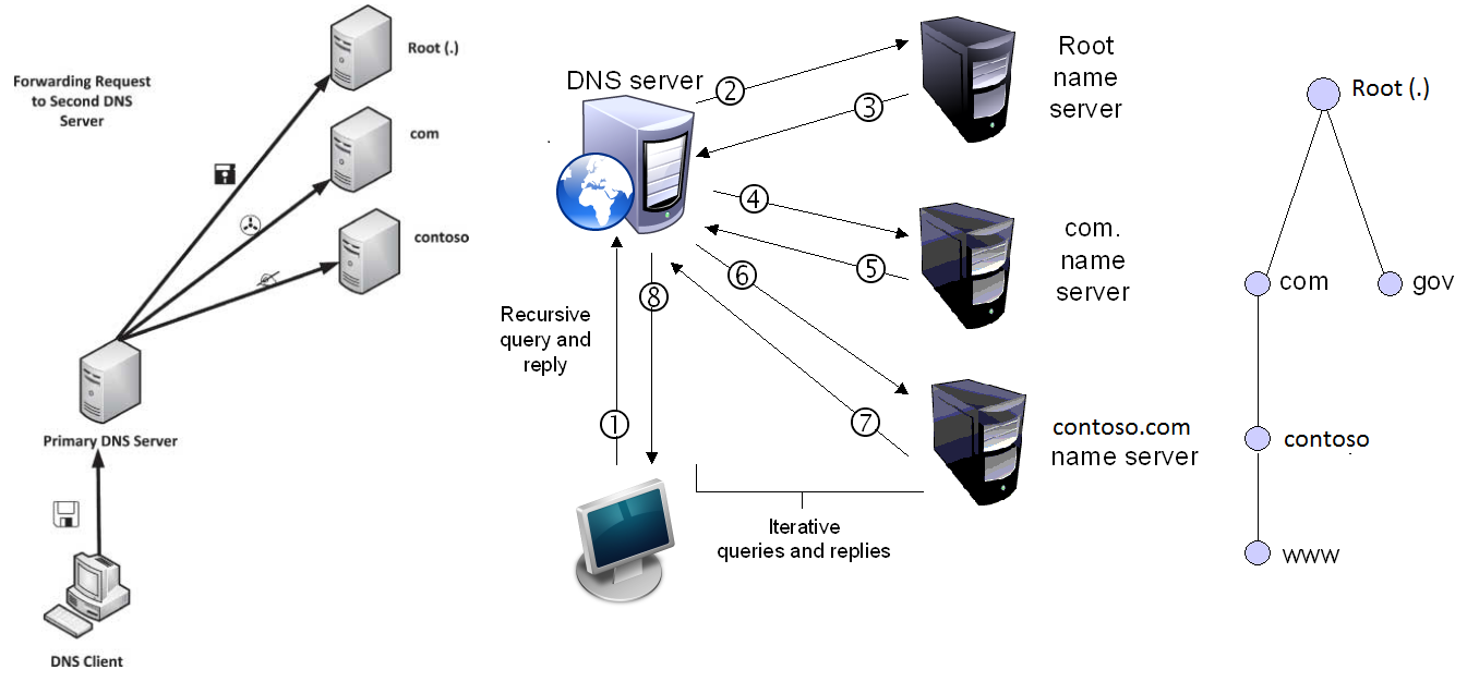 Dns зона домена