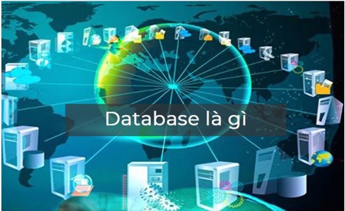 Database là gì? Vai trò và tầm quan trọng của database