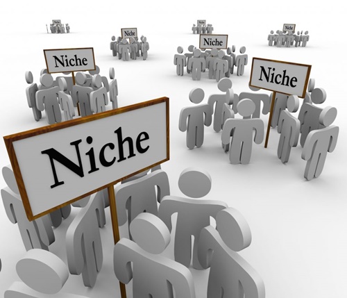 Niche là gì? So sánh giữa niche site và Authority site cho người mới 1 niche la gi