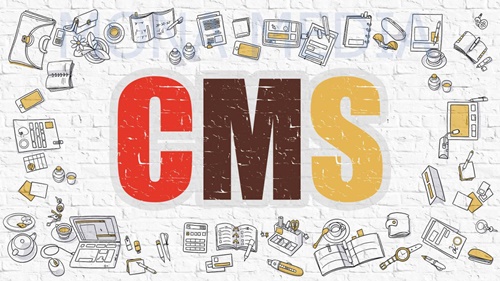 hệ thống cms