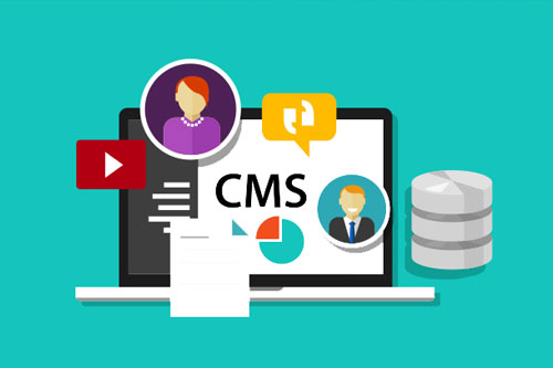 hệ thống cms
