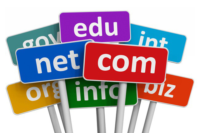 Domain Name la gi