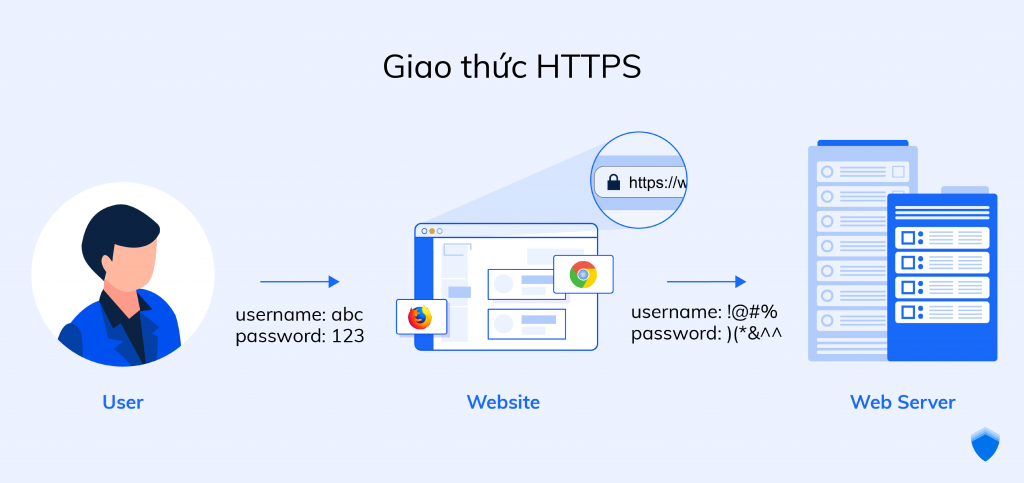 Giao thức HTTPs và HTTP là gì? Điểm khác nhau như thế nào?
