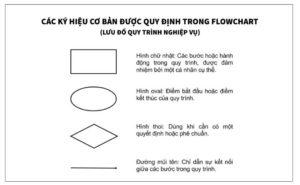 Flow Diagram Là Gì? 3 Bước Vẽ Flow Diagram Hoàn Chỉnh Cho Doanh Nghiệp