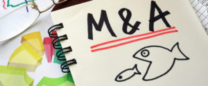 Merger and Acquisition là gì? M&A được chia thành những loại nào ? 4 merger and acquisition là gì