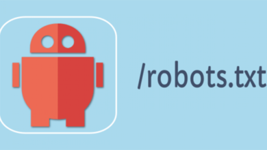 robot.txt Wordpress