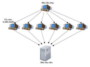 loại tấn công nào sử dụng số lượng lớn máy tính để tấn công nạn nhân