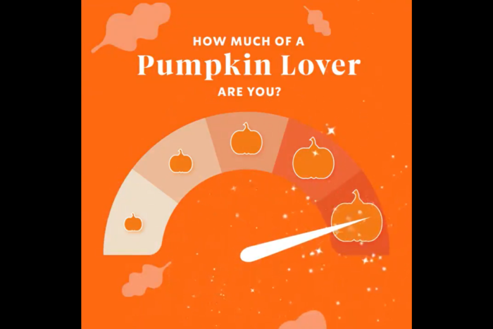 Become An Influencer Using These 19 Easy Steps - Bài viết kiến thức mới nhất 2024 7 Starbucks' pumpkin lover quiz.