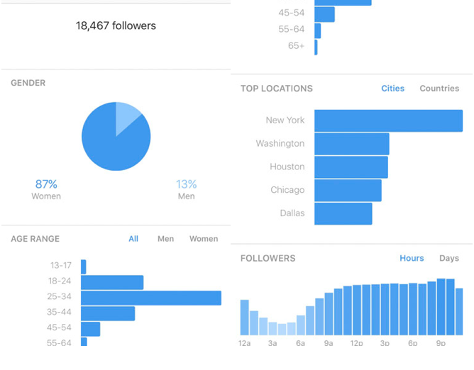 Instagram Marketing Guide: 10 Tips That Actually Work - Bài viết kiến thức mới nhất 2024 3 Use Instagram's insights to gain information.