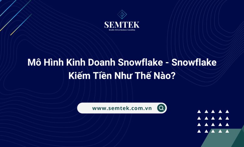 Mô Hình Kinh Doanh Snowflake - Snowflake Kiếm Tiền Như Thế Nào?