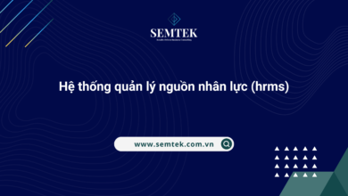 hệ thống quản lý nguồn nhân lực (hrms)
