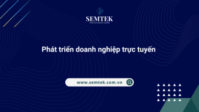 phát triển doanh nghiệp trực tuyến
