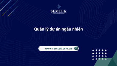 quản lý dự án