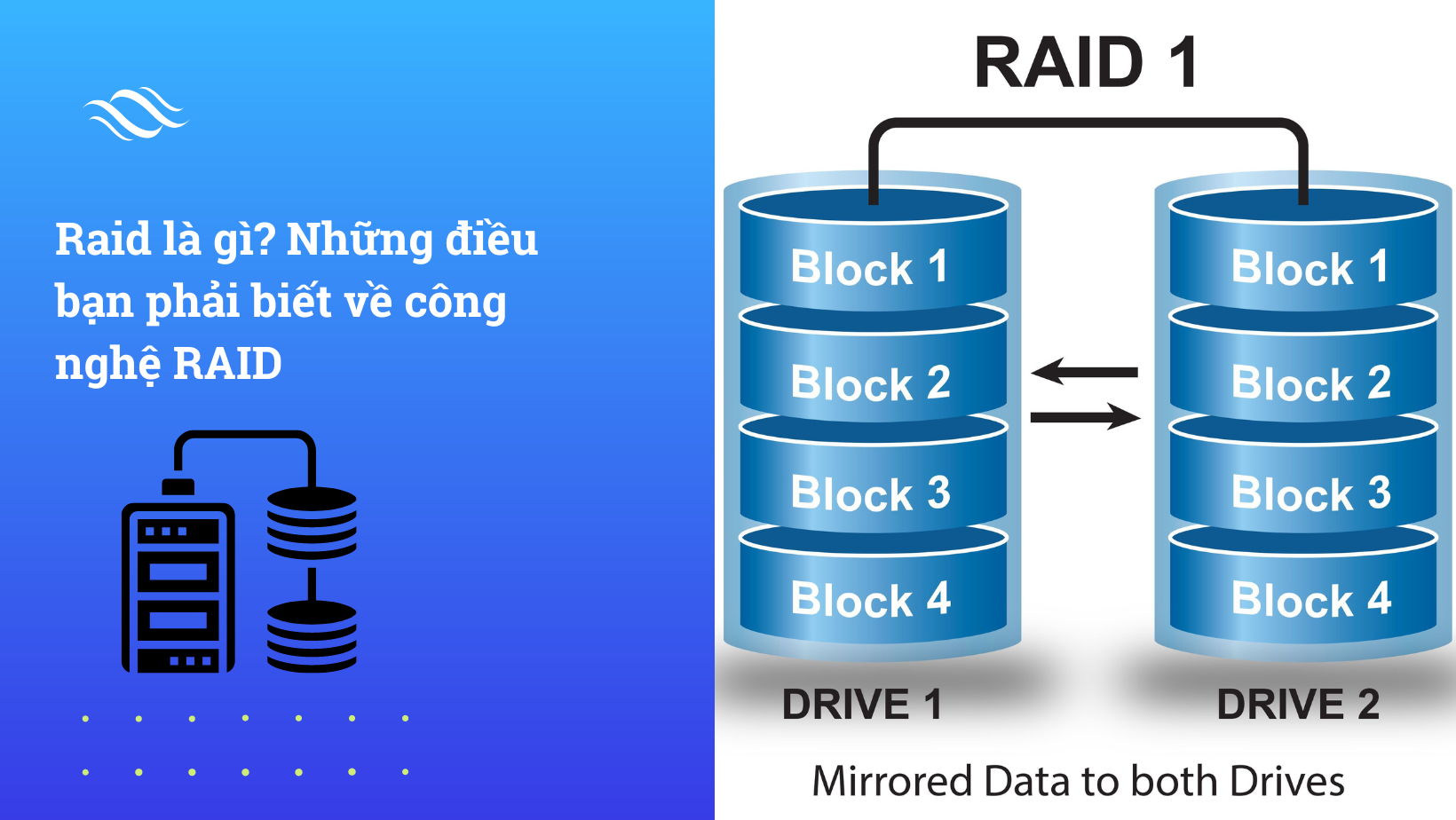 raid là gì