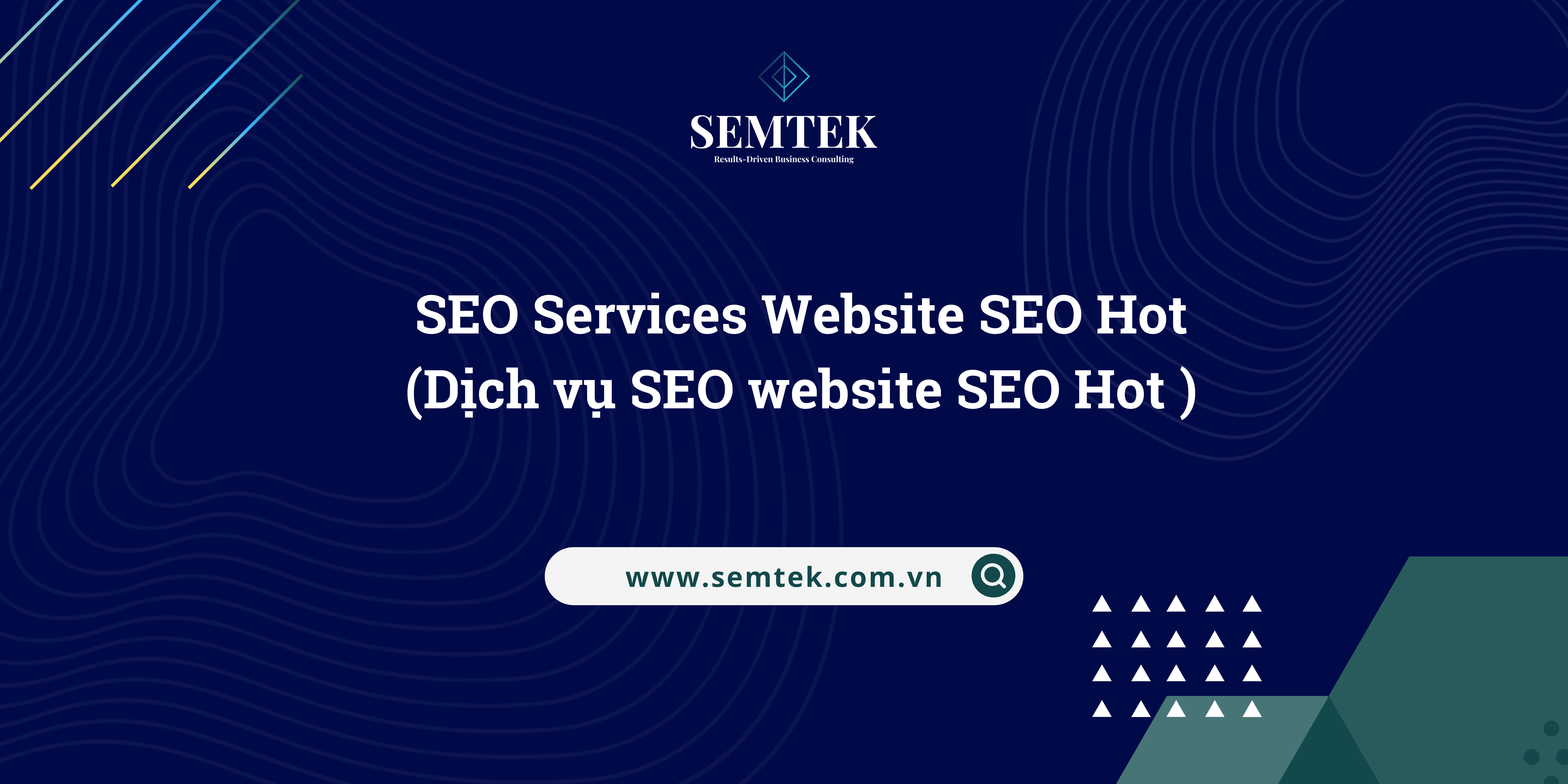 dịch vụ seo website seo hot